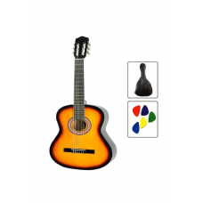 4/4 Tam Boy Gitar Kılıf Pena